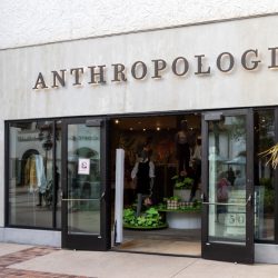 Anthropologie